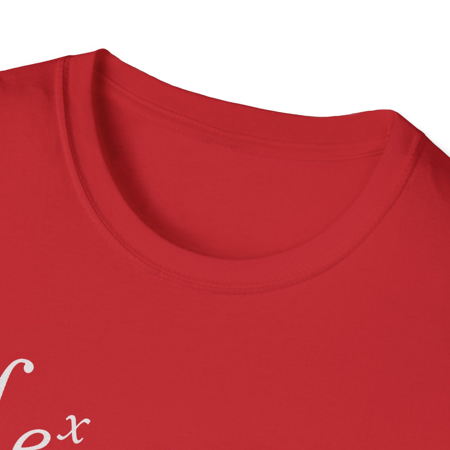 Funny Math Equation Unisex Softstyle T-Shirt