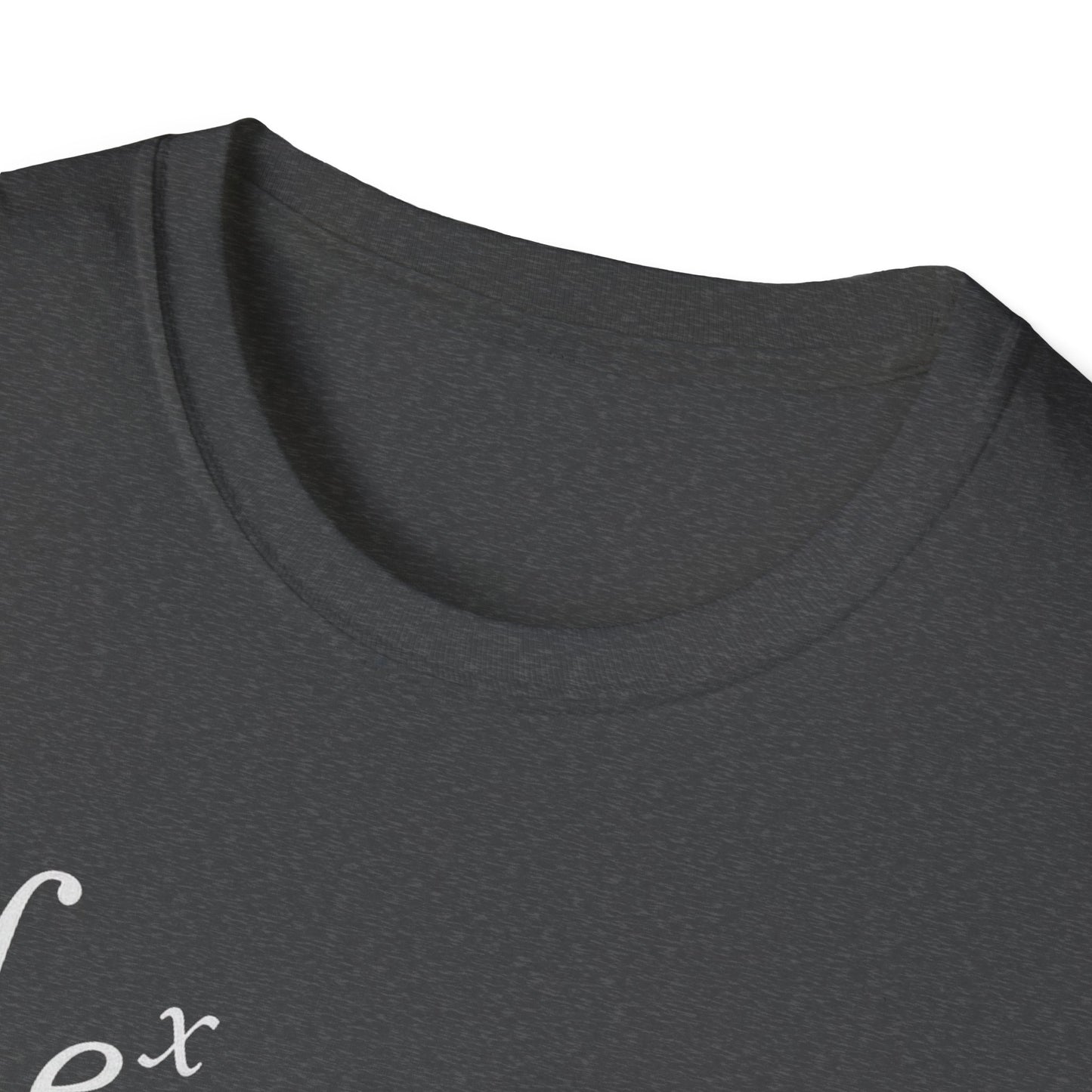 Funny Math Equation Unisex Softstyle T-Shirt