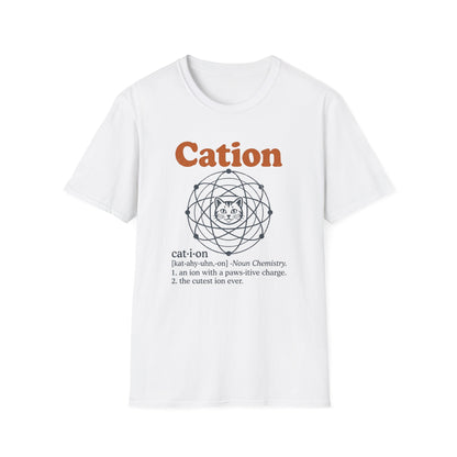 Stay Positive Be A Cation - Chemistry T-Shirt