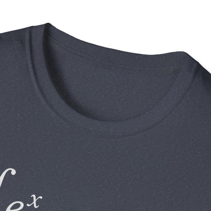 Funny Math Equation Unisex Softstyle T-Shirt
